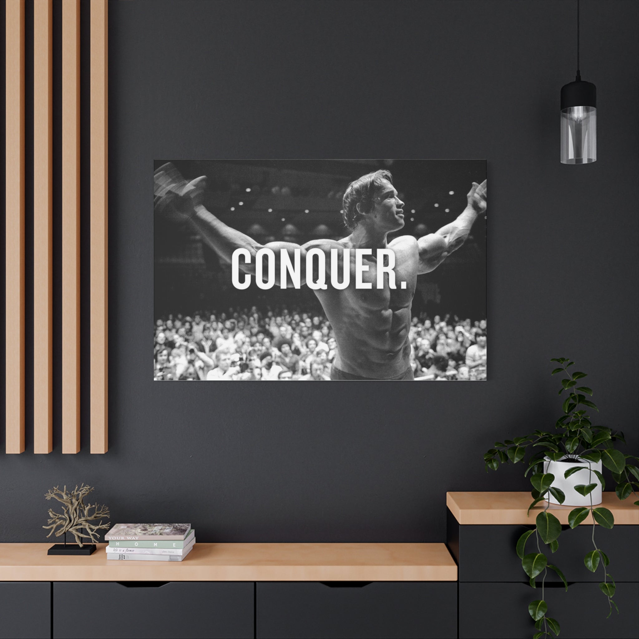 Arnold Schwarzenegger Conquer